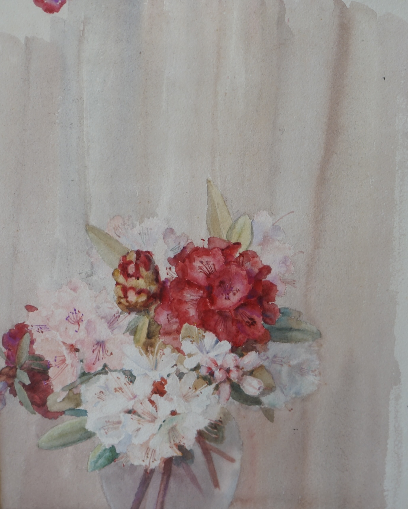 Nora H. Cullen (20th. C), watercolour, 'Sky and Rhododendron', signed, 35 x 40cm, and a sketch of a bunch of blossom, 40 x 32cm. Condition - fair